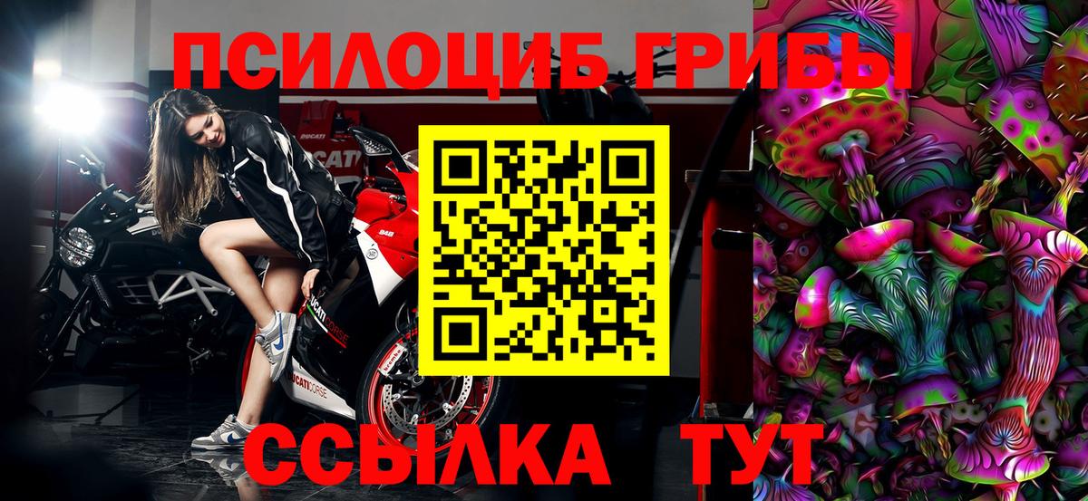 Галлюциногенные грибы прущие грибы Избербаш